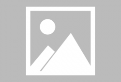 老鼠短视频下载,轻松获取萌鼠瞬间